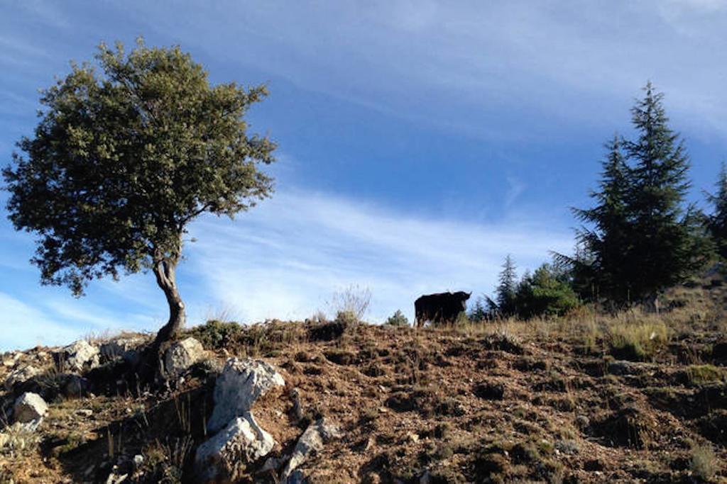 Telecabina Las Catifas Guejar Sierra Exteriér fotografie