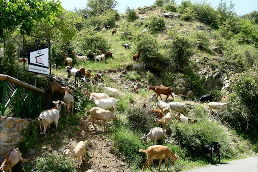 Telecabina Las Catifas Guejar Sierra Exteriér fotografie